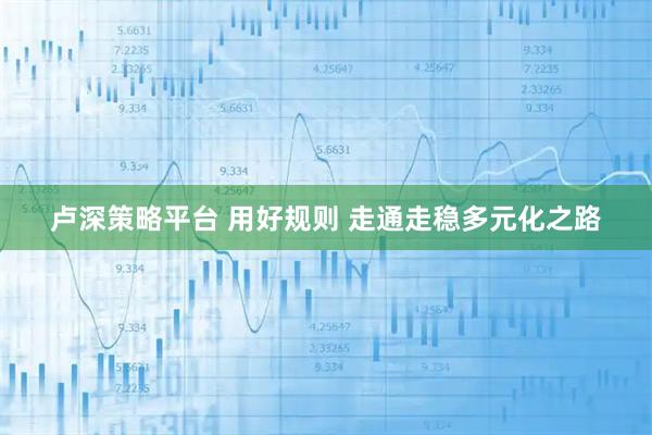 卢深策略平台 用好规则 走通走稳多元化之路