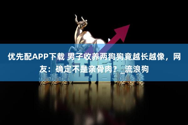 优先配APP下载 男子收养两狗狗竟越长越像，网友：确定不是亲骨肉？_流浪狗