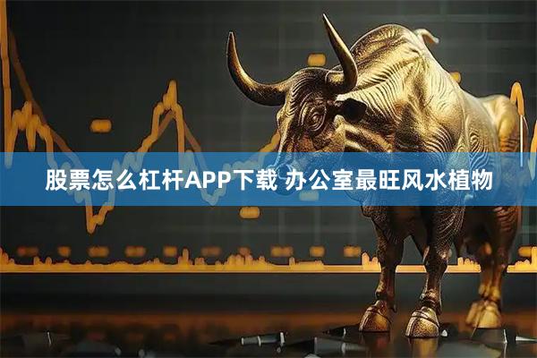 股票怎么杠杆APP下载 办公室最旺风水植物